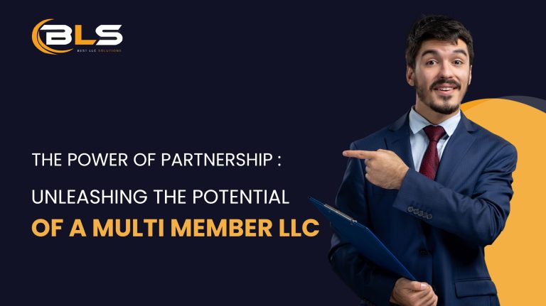 Unleashing The Potential of A Multi Member LLC