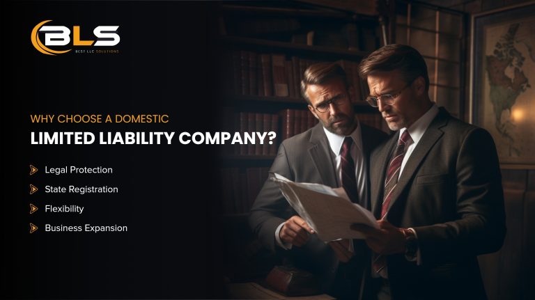 Why Choose A Domestic Limited Liability Company