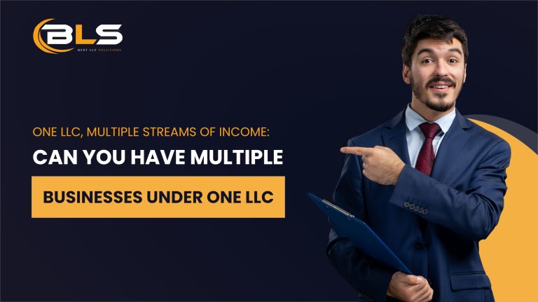 can you have multiple businesses under one LLC?