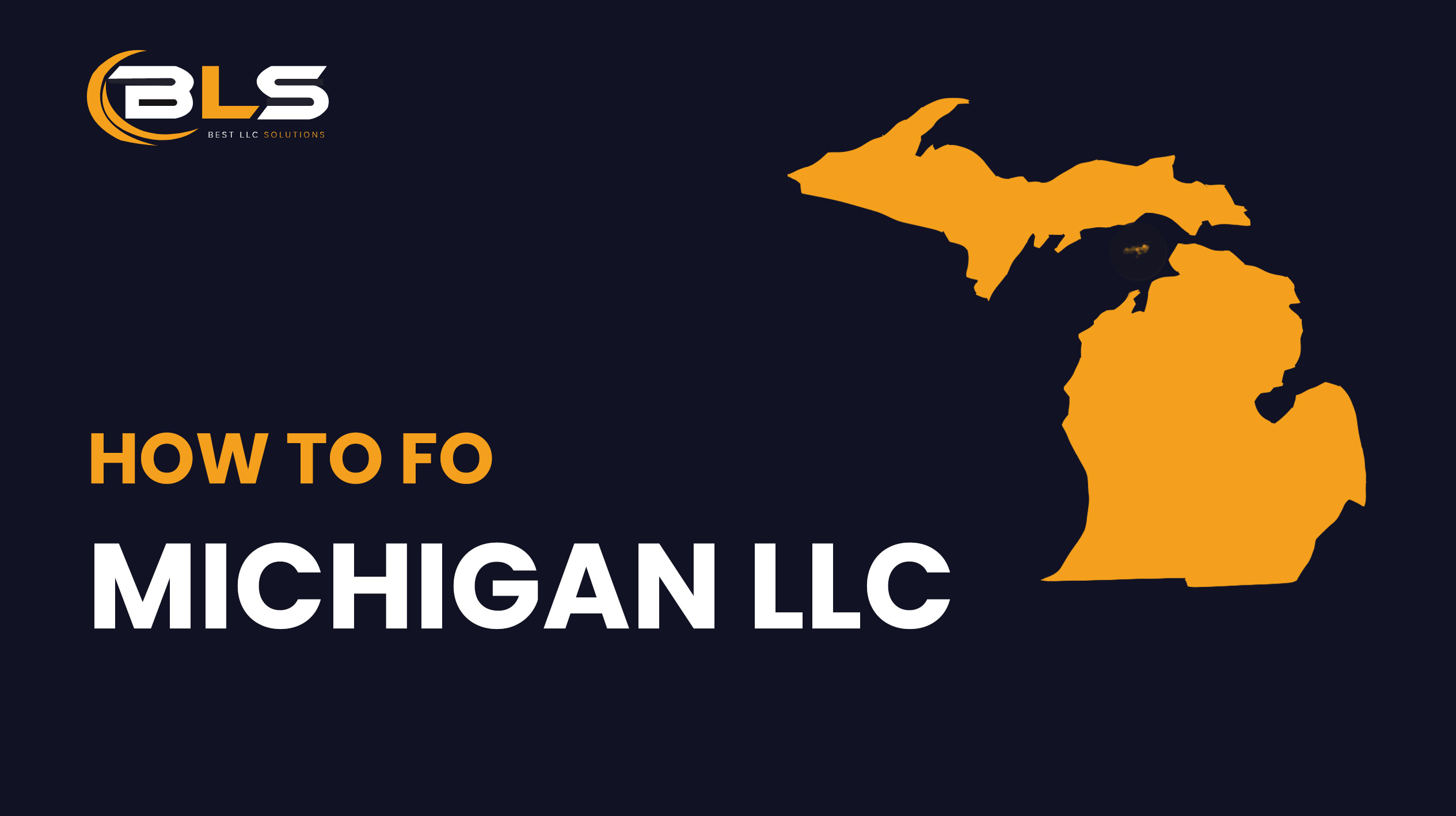 Michigan LLC