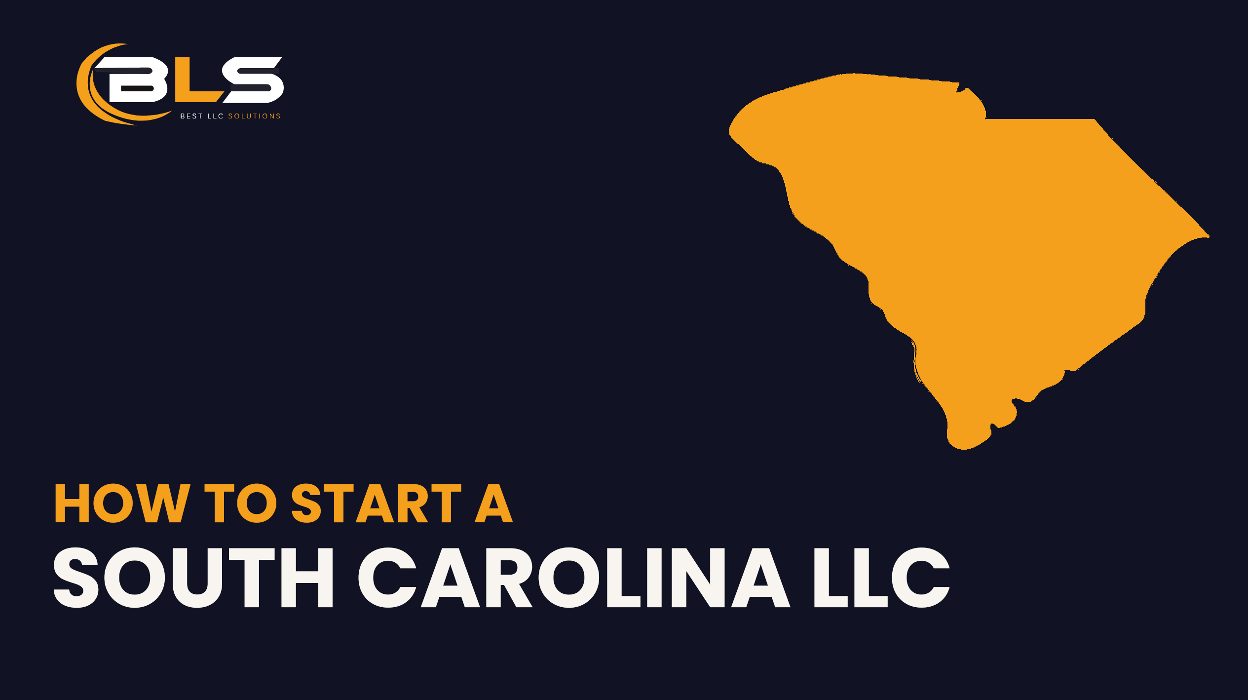 South Carolina LLC